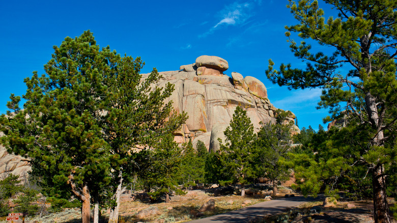 Sherman granite with trees at Vedauwoo Recreation Area