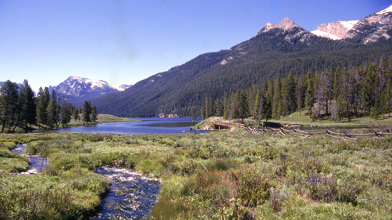 The Green River flowing through Wyoming's Wind River Range in Bridger-Teton National Forest