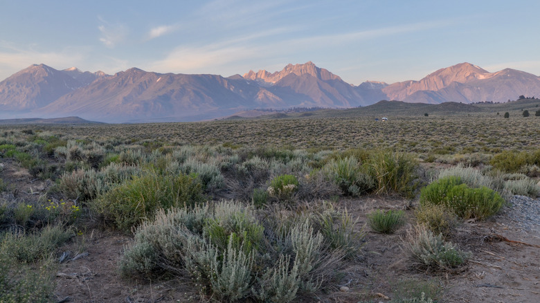 View of Long Valley Caldera