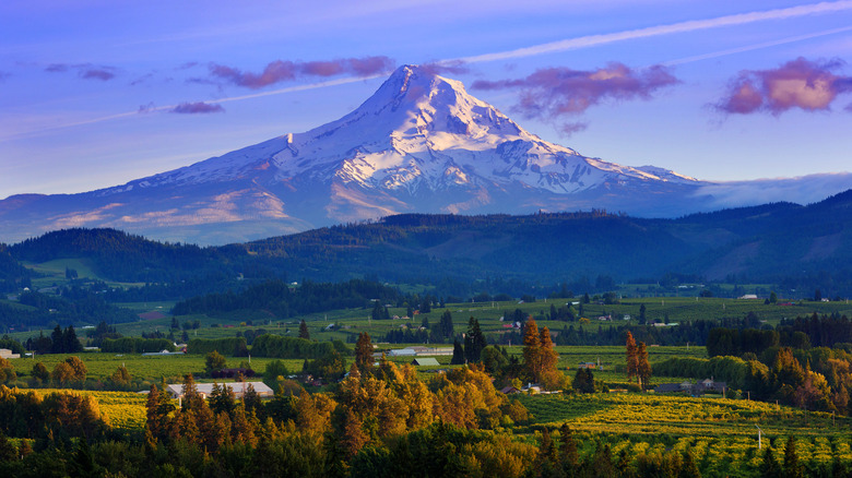 Mount Hood in Oregon