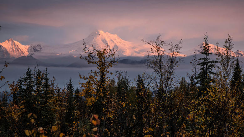 Dawn light on Mount Spurr