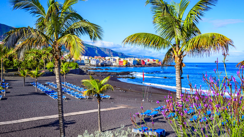 Sun loungers on beach at Playa Jardín Tenerife