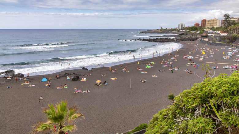 Aerial view of Playa Jardín