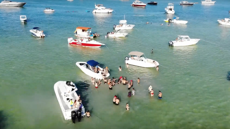 Revelers are Nixon Beach Sandbar