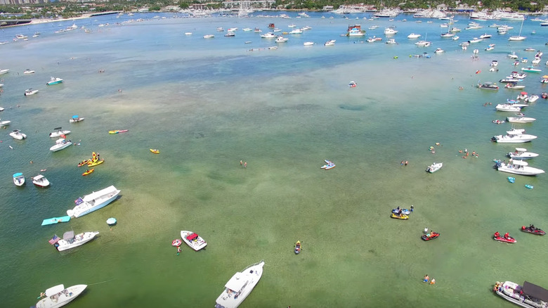 Boats at Peanut Island Sandbar