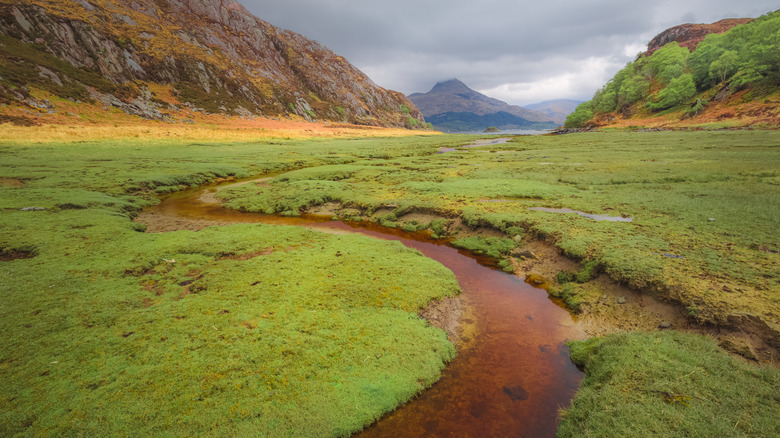 Natural Scottish landscape in Inverie