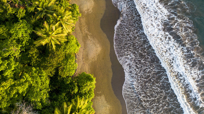 Costa Rican beach beside ocean