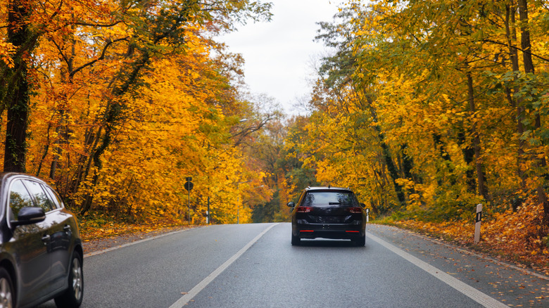 Two cars on fall road