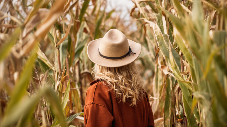 Woman in corn maize