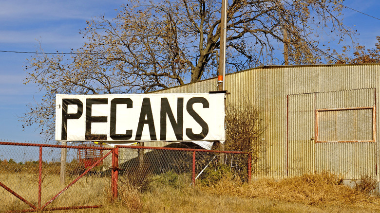 Pecan grove sign