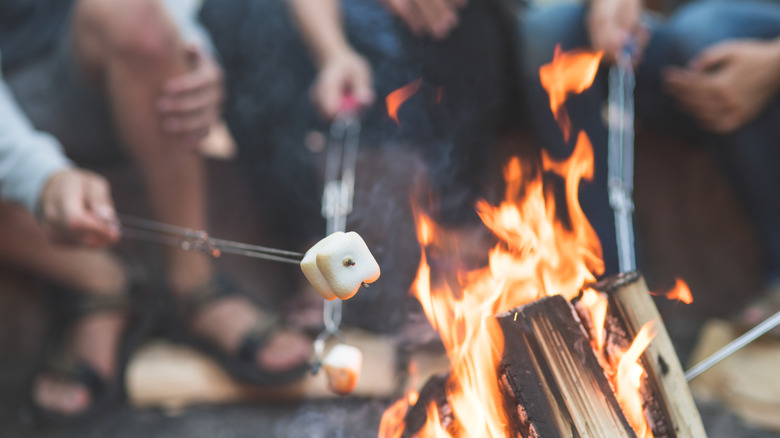 Marshmallows toasting over fire