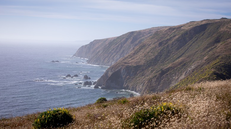 View on the Tomales Point Trail