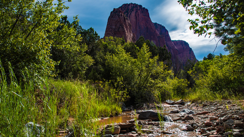 Taylor Creek Trail in Kolob Canyons