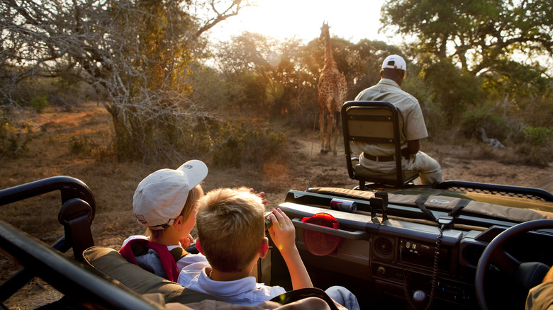 Safari experience in Phinda Game Reserve