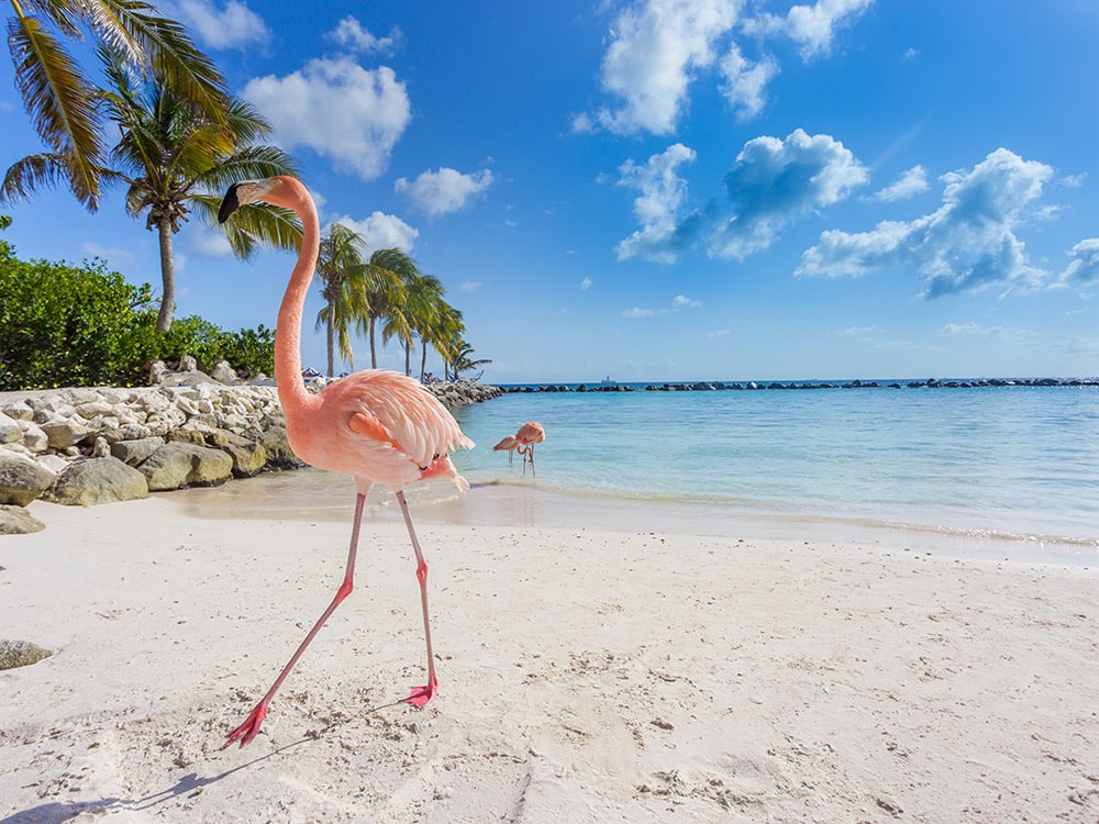 Renaissance Island, Aruba