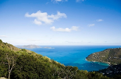 BVI08_gallery_11_03