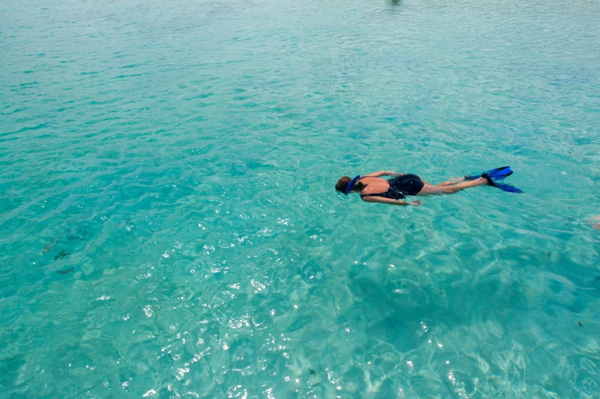 Best Caribbean Snorkeling | Caribbean Snorkeling | Island Snorkeling | Honduras