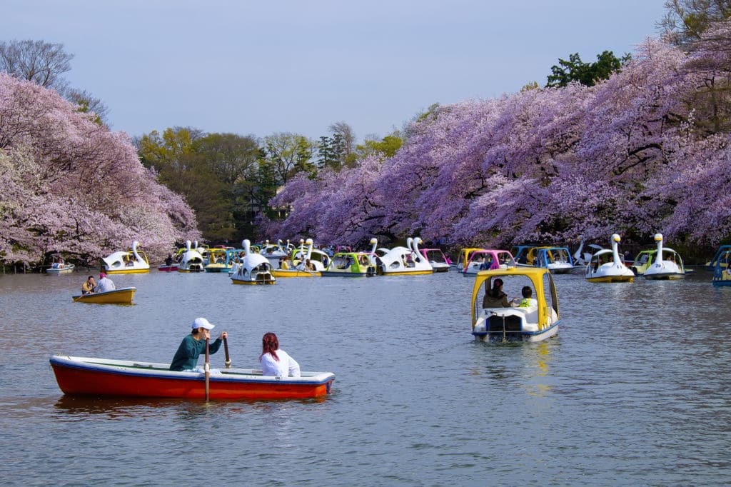 Best Places to Travel in March: Tokyo, Japan