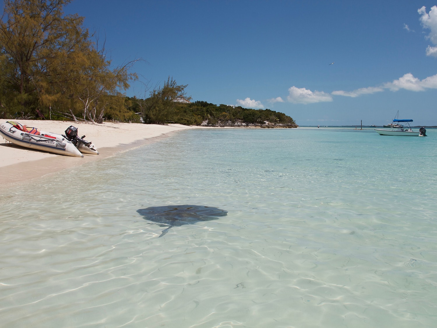 Best Snorkeling Spots In The Bahamas | Islands