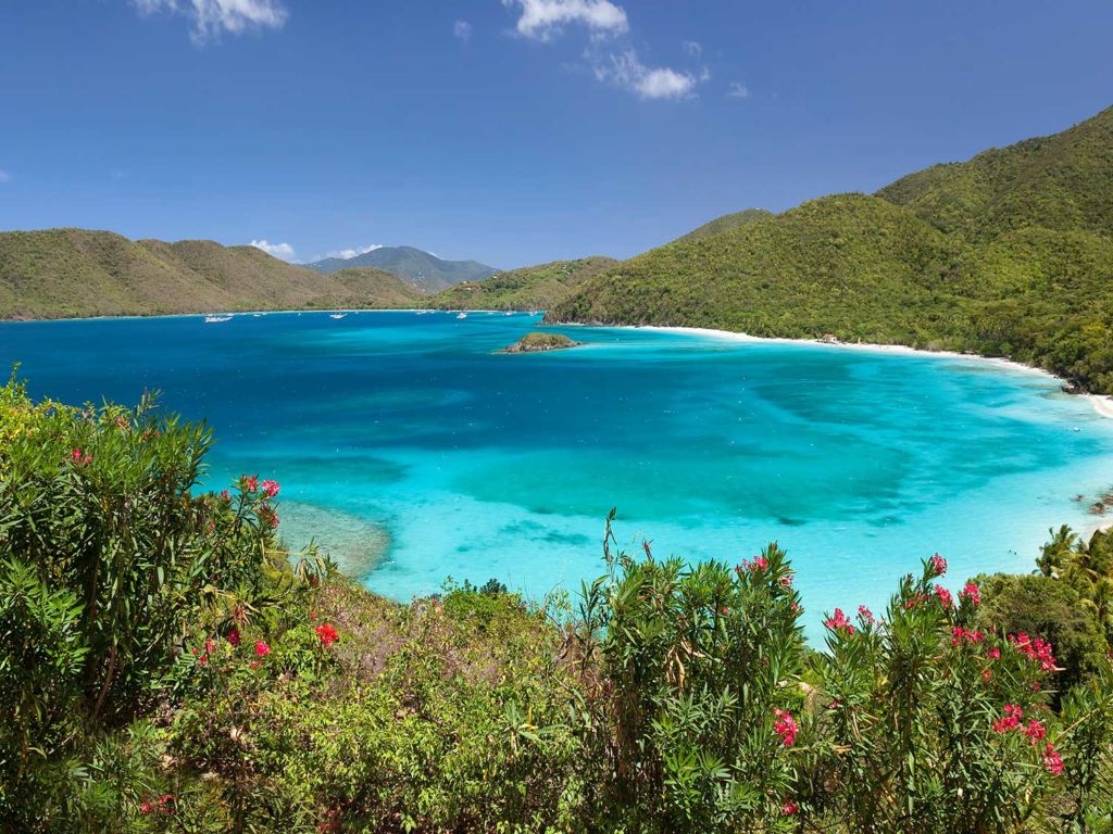 The blue waters and lush greenery surrounding Cinnamon Bay beach.