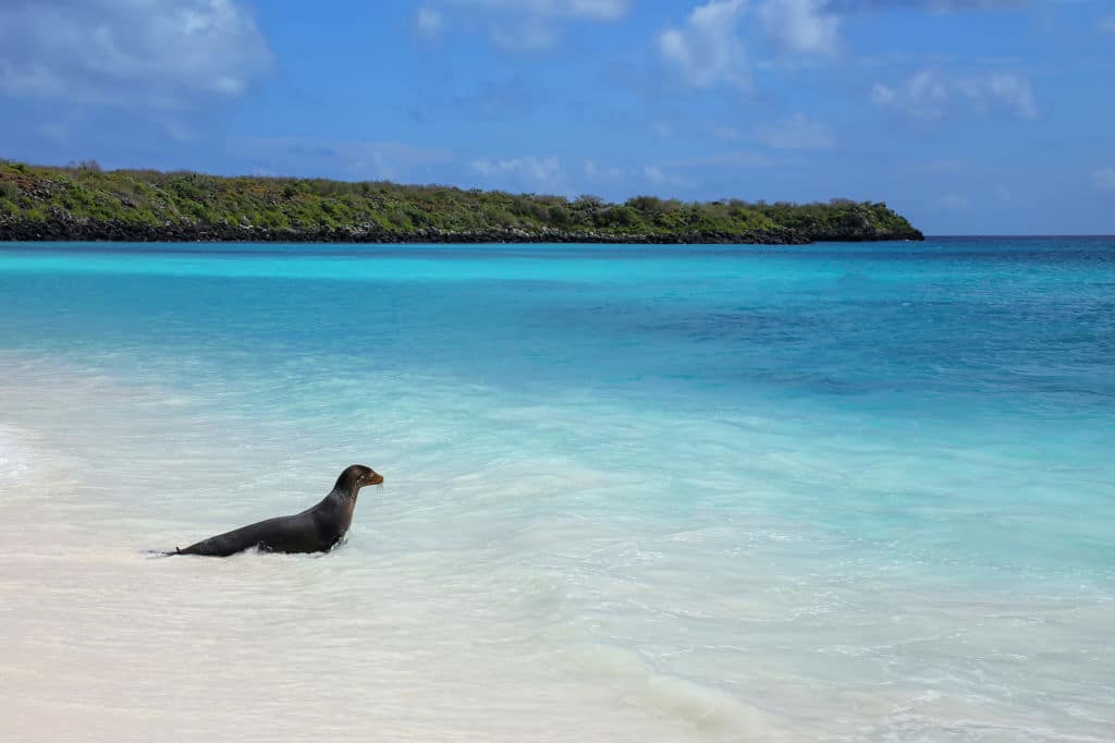 Galapagos Islands