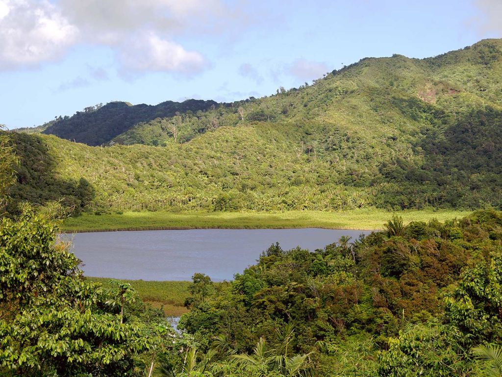 Grand Etang Nature Reserve