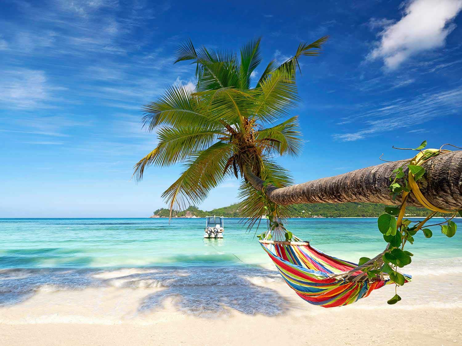 Hammock on a beach