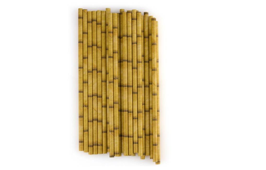 Bamboo Paper Straws