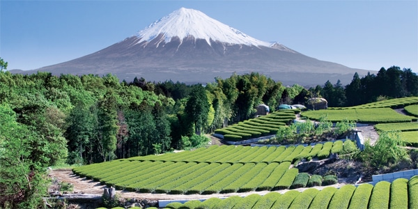 49 mount fuji japan travel bucket list