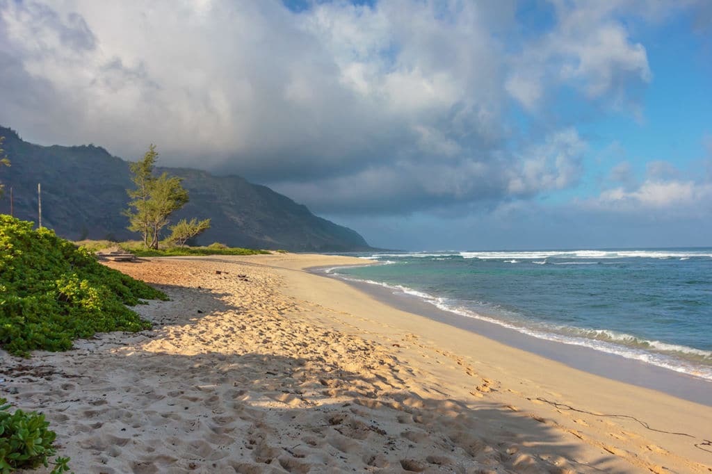 Best North Shore Beaches on Oahu | Islands