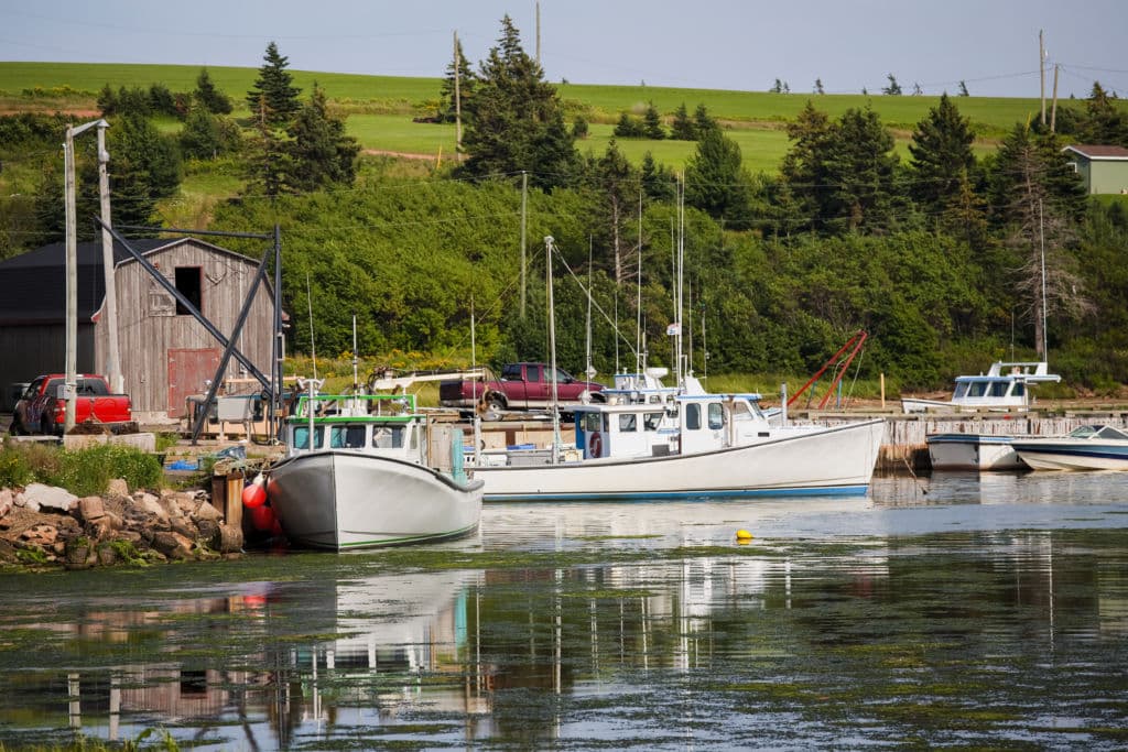 Top-10-Islands-Close-to-Home-Prince-Edward-Island