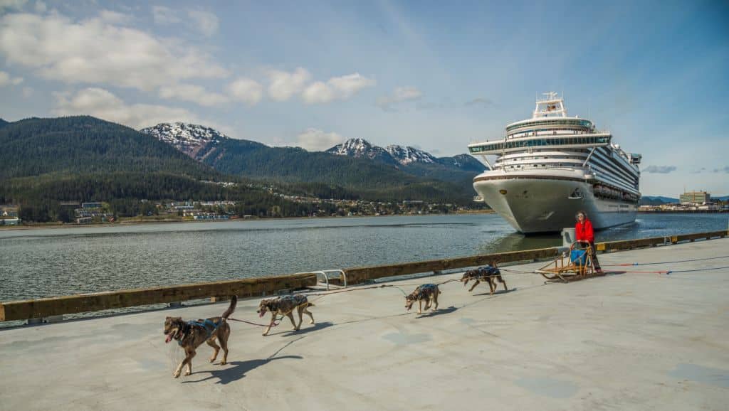 Princess Ruby Sled Dogs