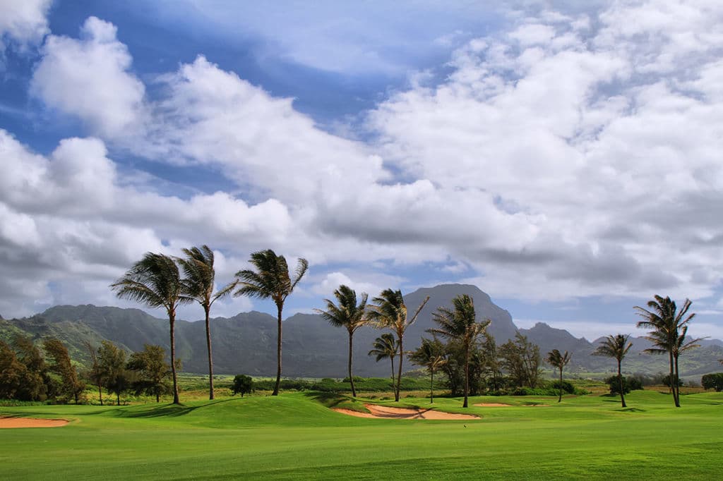 Themed Cruises: 2019 Hawaii Golf Cruise