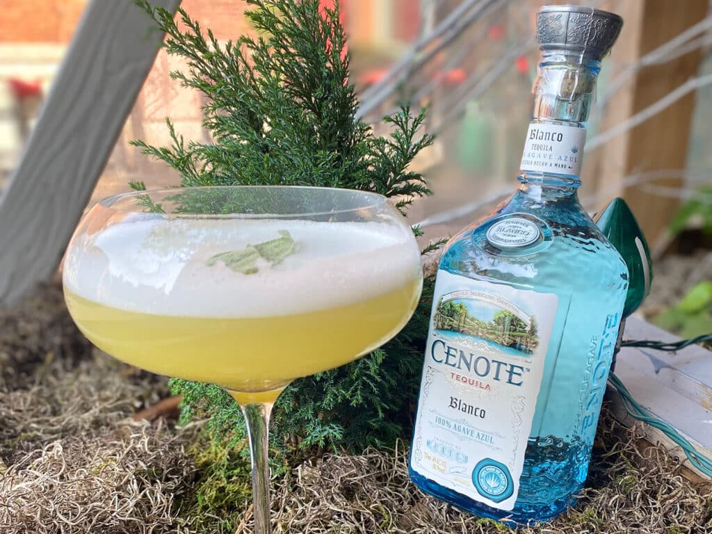 The Mayan Summer cocktail from Cenote Tequila Blanco.